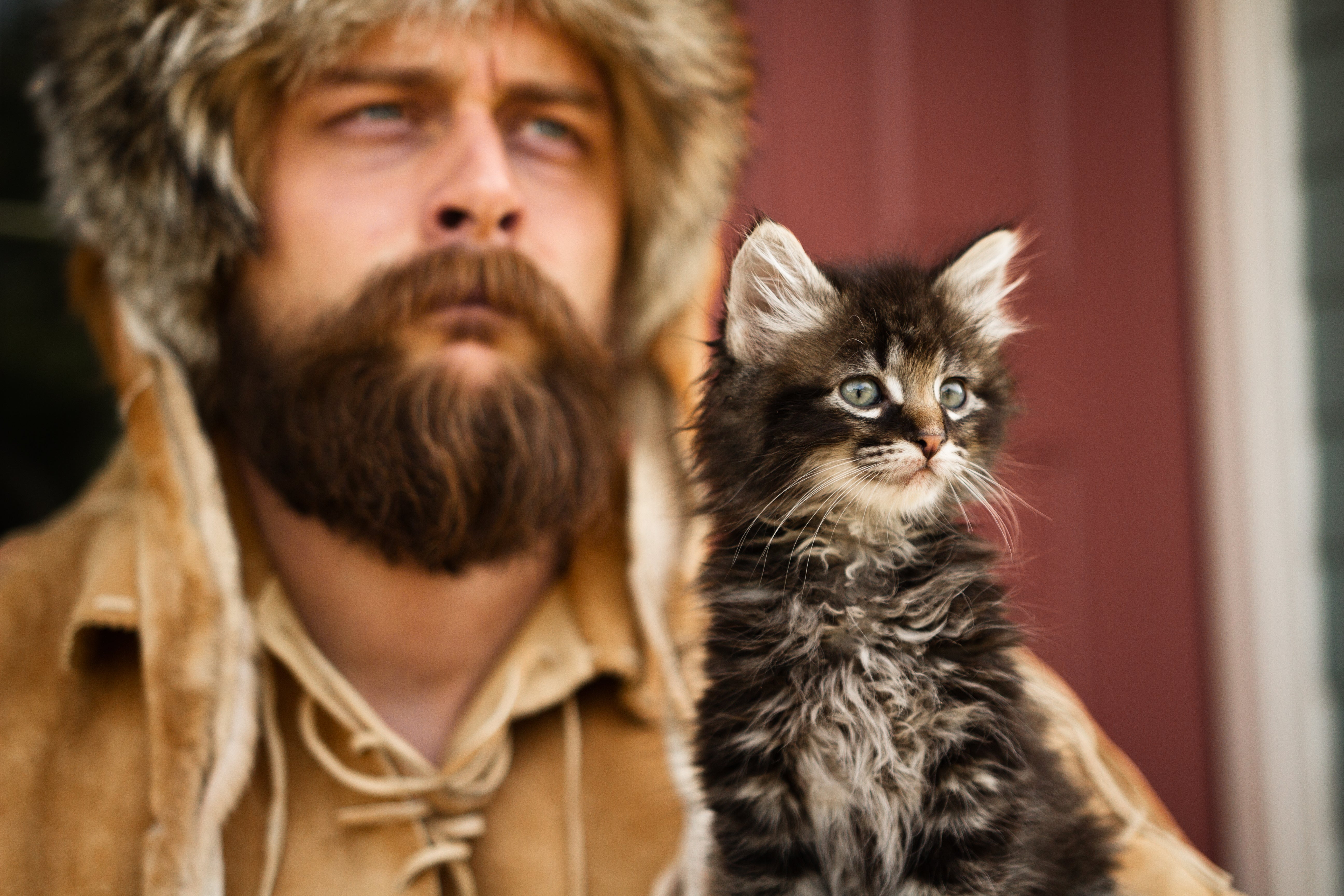 Old Trapper and a kitten looking beyond the frame